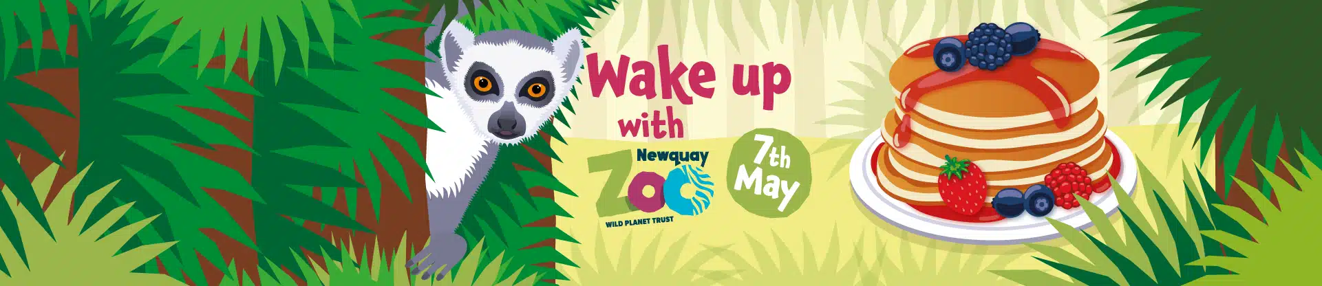 newquay zoo wake up with lemurs web 01
