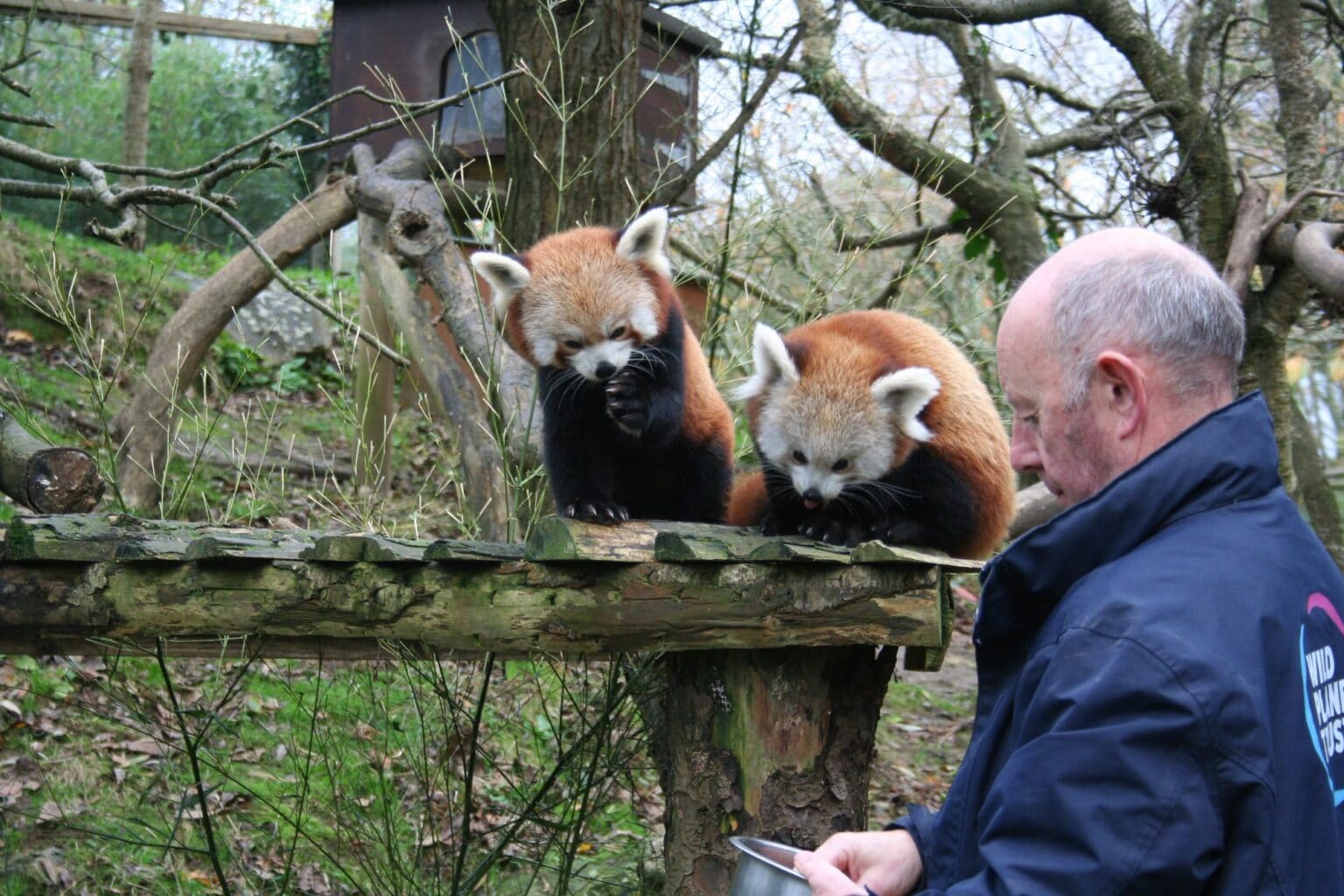 Careers Newquay Zoo
