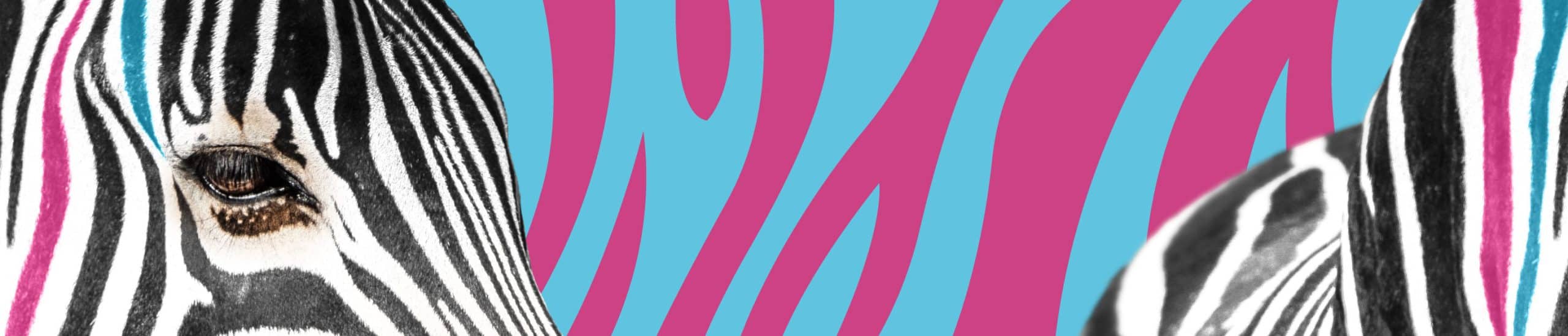NZ Locals Wild Weekend Slider Web Banner scaled