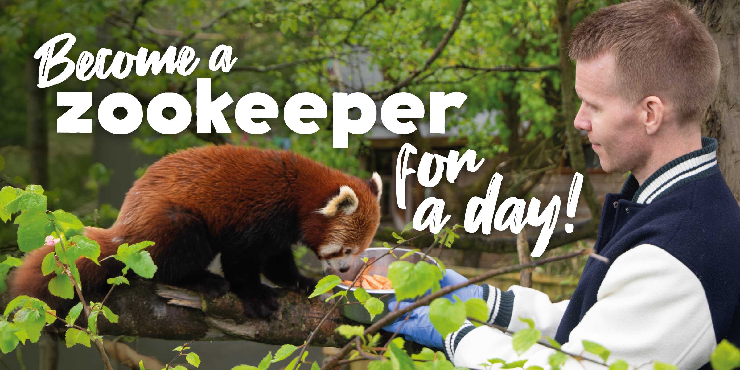 Become a member of Newquay Zoo