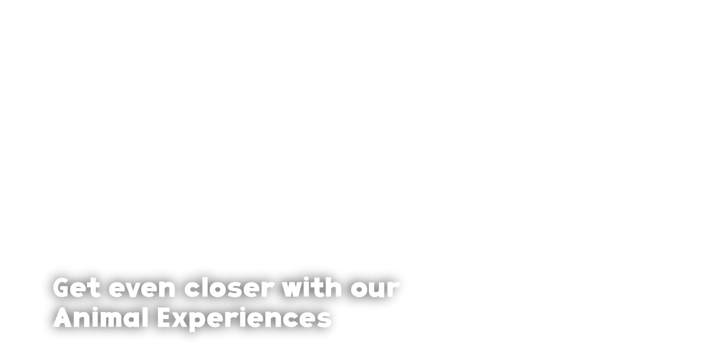 NZ Experiences 2025 Sliders Desktop Overlay