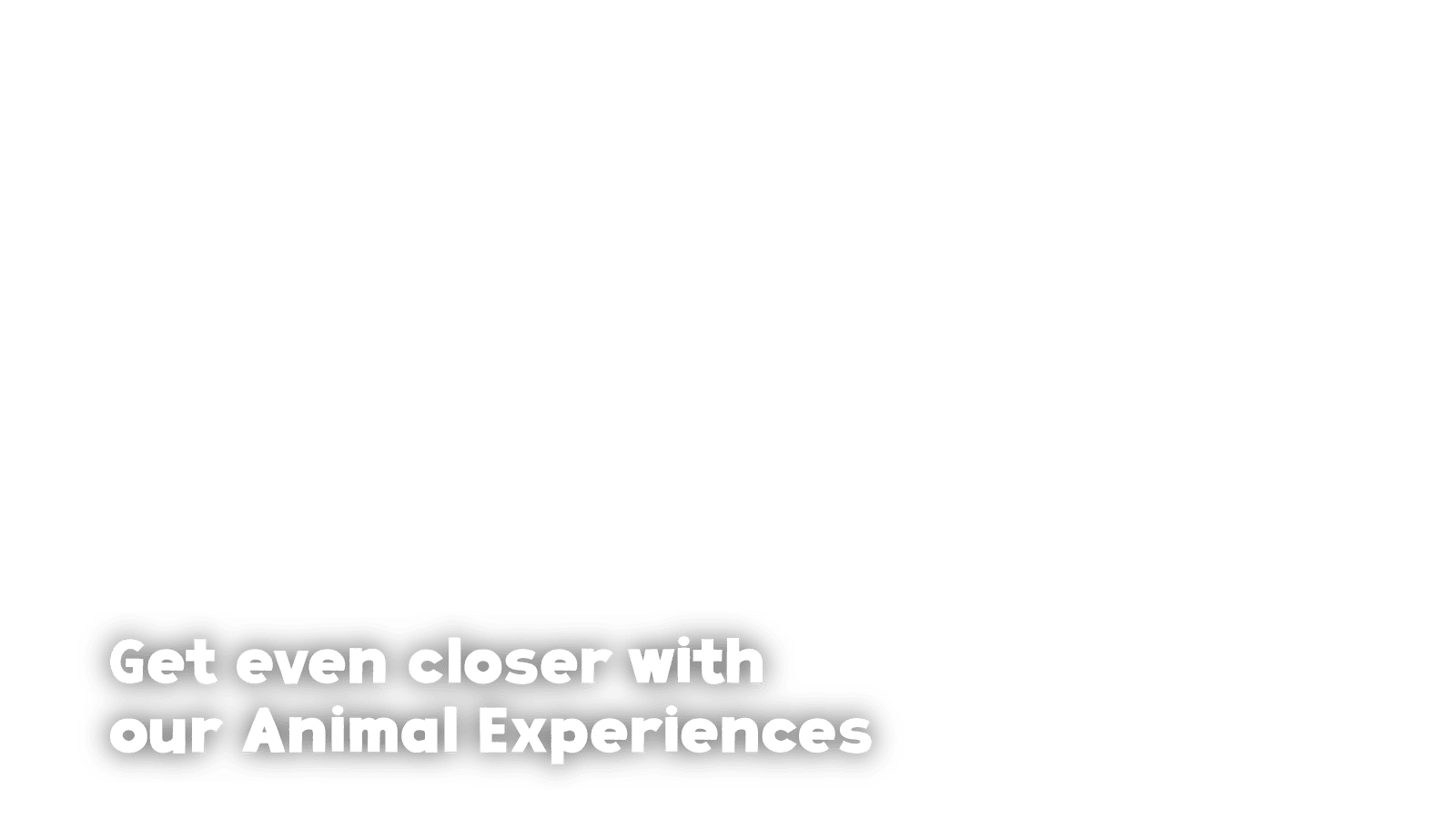 NZ Experiences 2025 Sliders Mobile Overlay