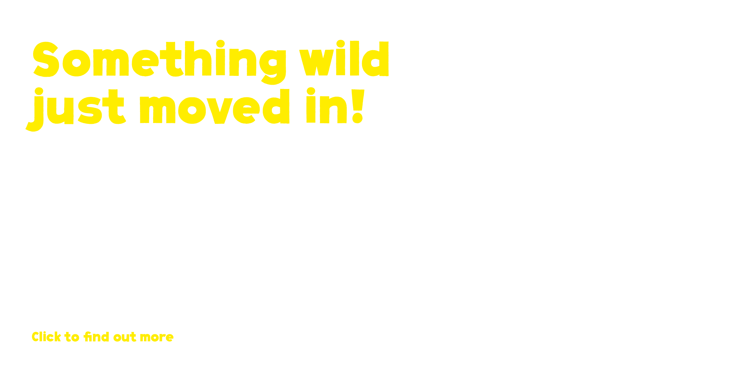 NZ Hyena Sliders Desktop Overlay