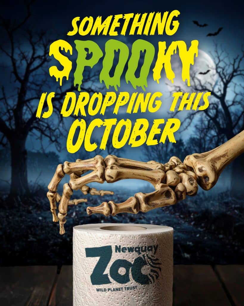 NZ Halloween Teaser 1080x1350 1 1