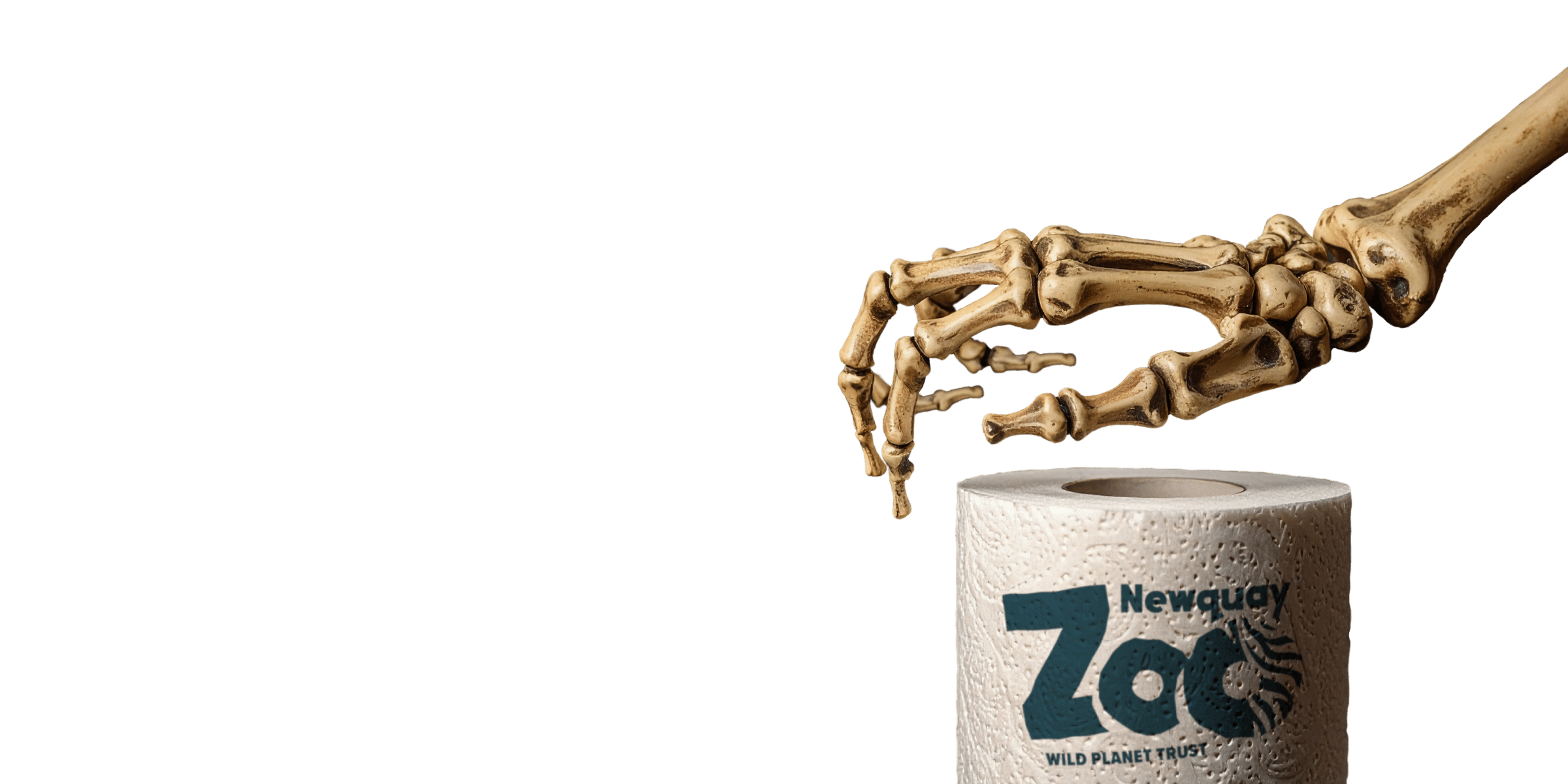 NZ Halloween 2025 Slider Desktop Overlay