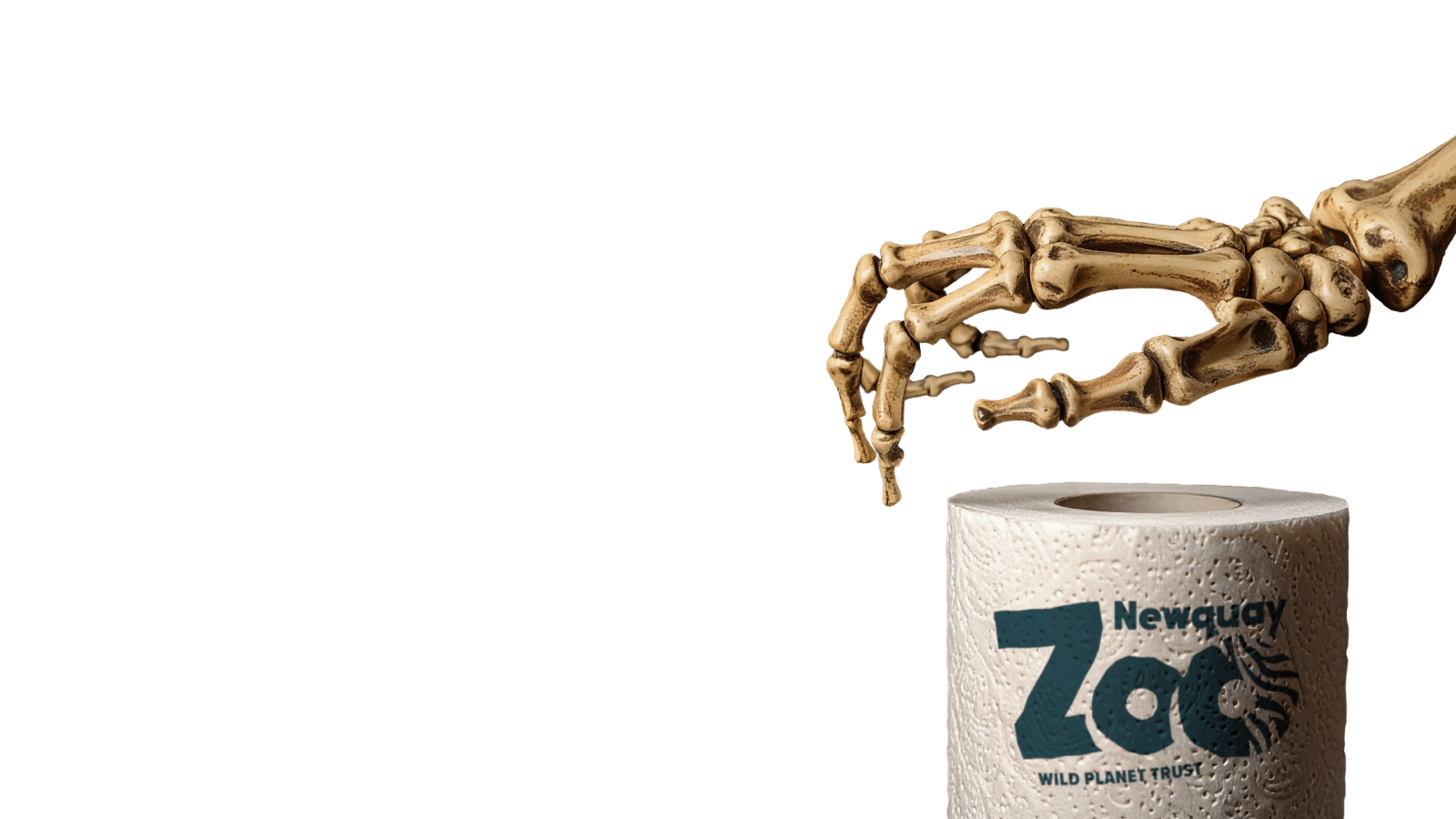 NZ Halloween 2025 Slider Mobile Overlay