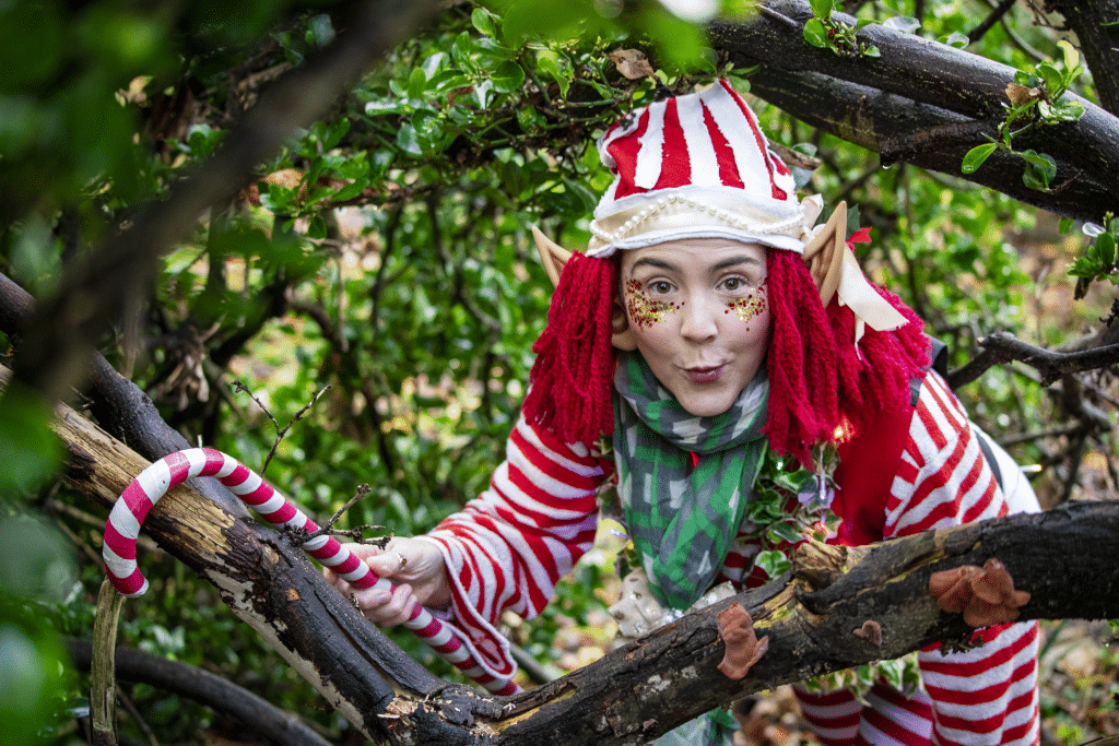 Christmas elf at Newquay Zoo