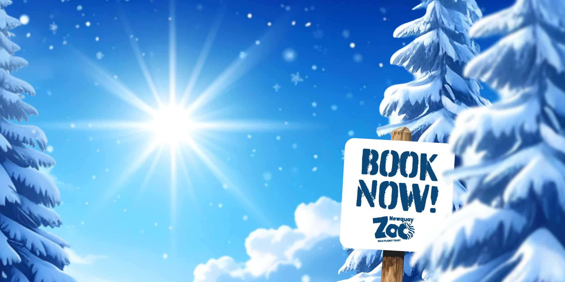 NZ Welcome North Pole Smart Slider Desktop Background