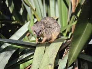 original 2F3BA3AE 2607 45CE B8DD B560DC9B6FF3