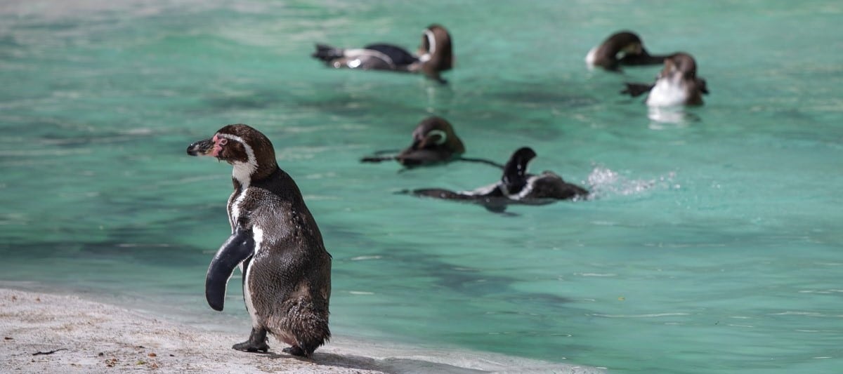 207037285 10157821178656423 5634133992712508857 n Copy 1