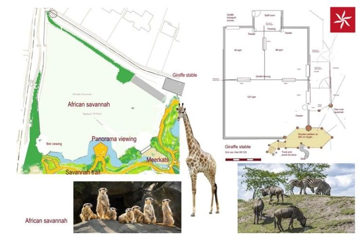 Concept plans for new Savannah exhibit at Newquay Zoo in 2026