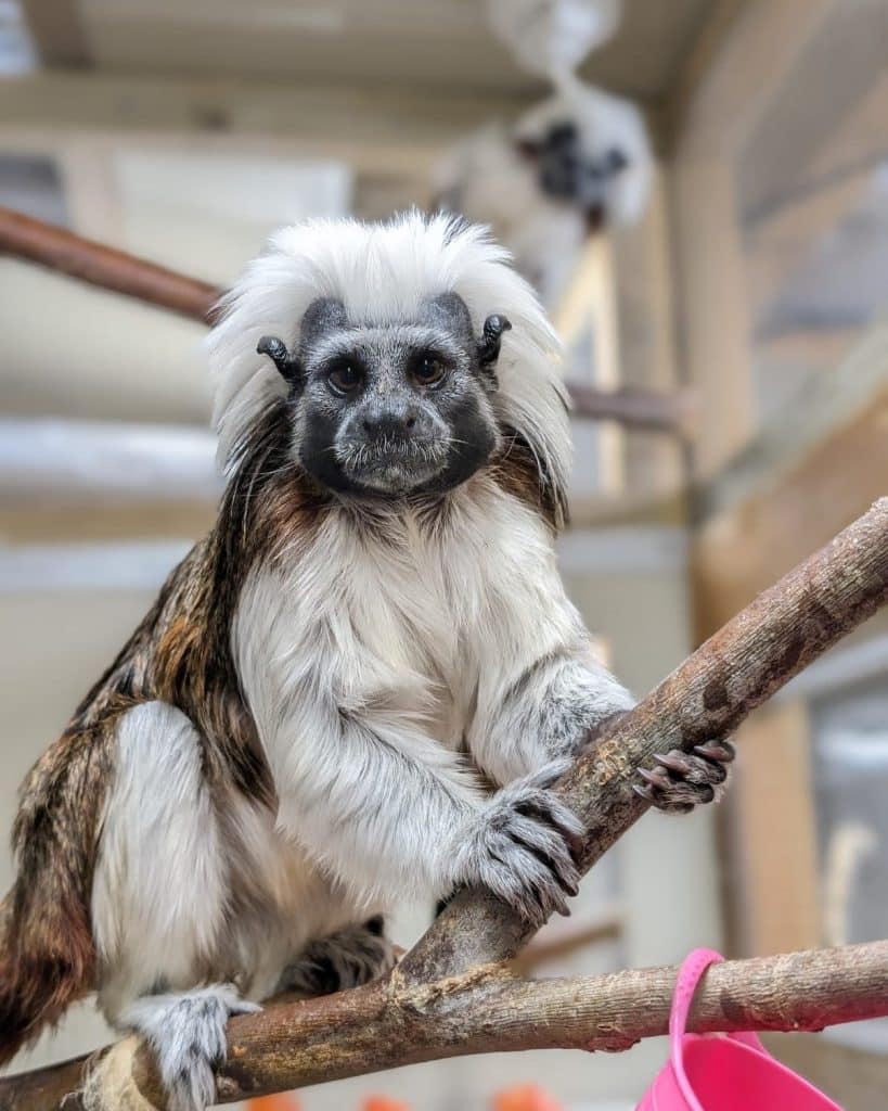 485080362 1051992650290958 4918917476860760445 n